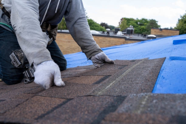 Best Commercial Roof Installation  in Blackhawk, SD